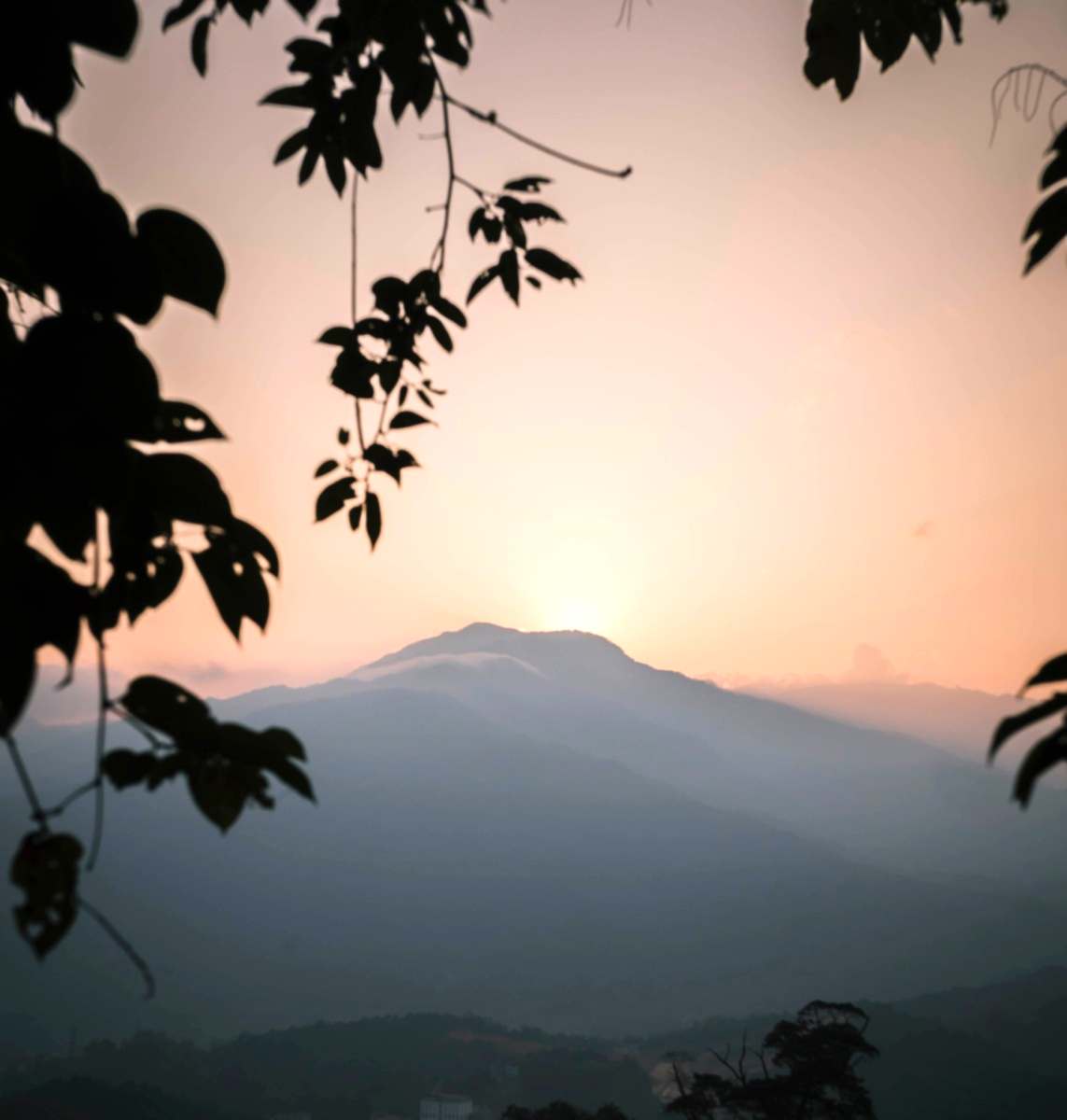 3ds Max Render Kursu